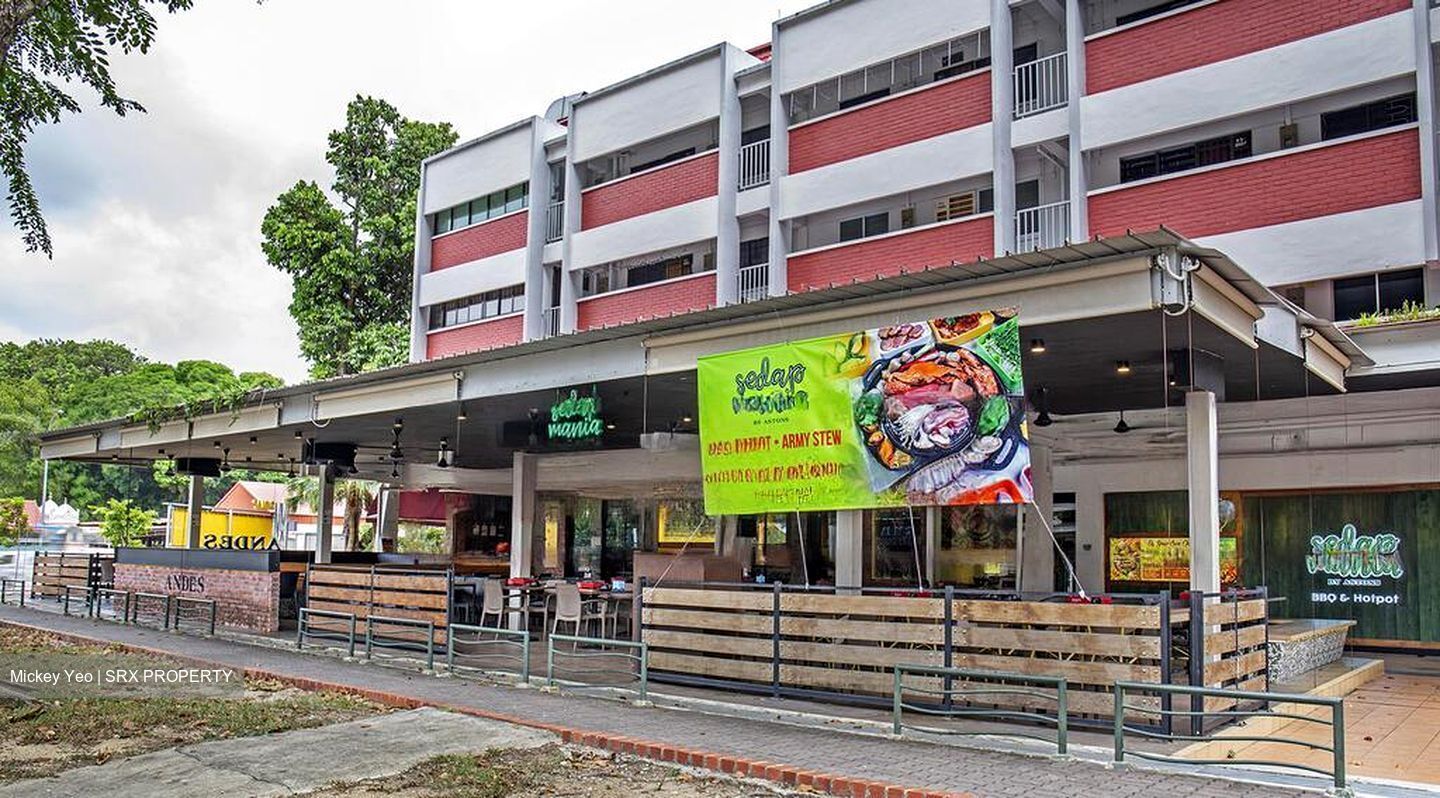 4 CHANGI VILLAGE ROAD (D17), Shop House #460758171